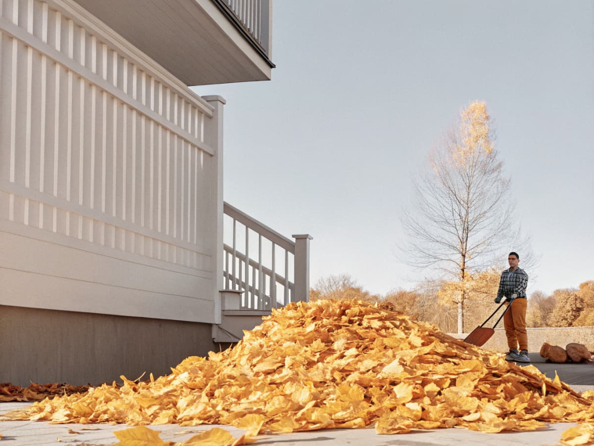 Yard clean up service in Evansville IN